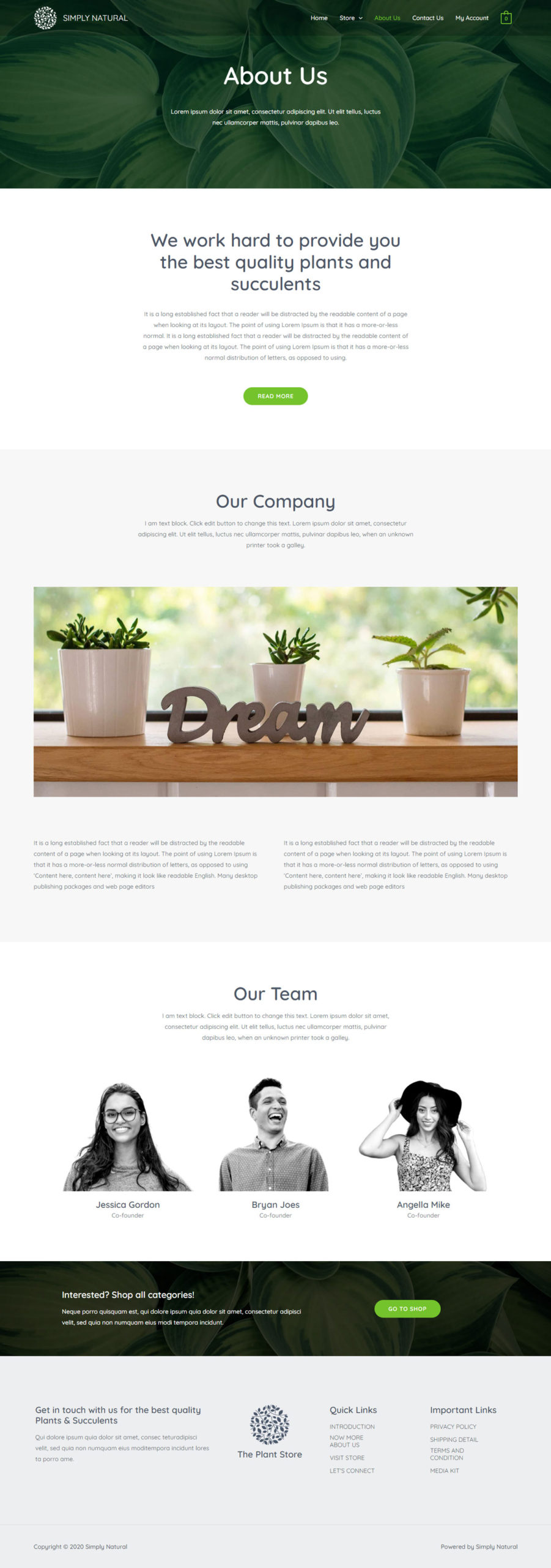 demo3-about us