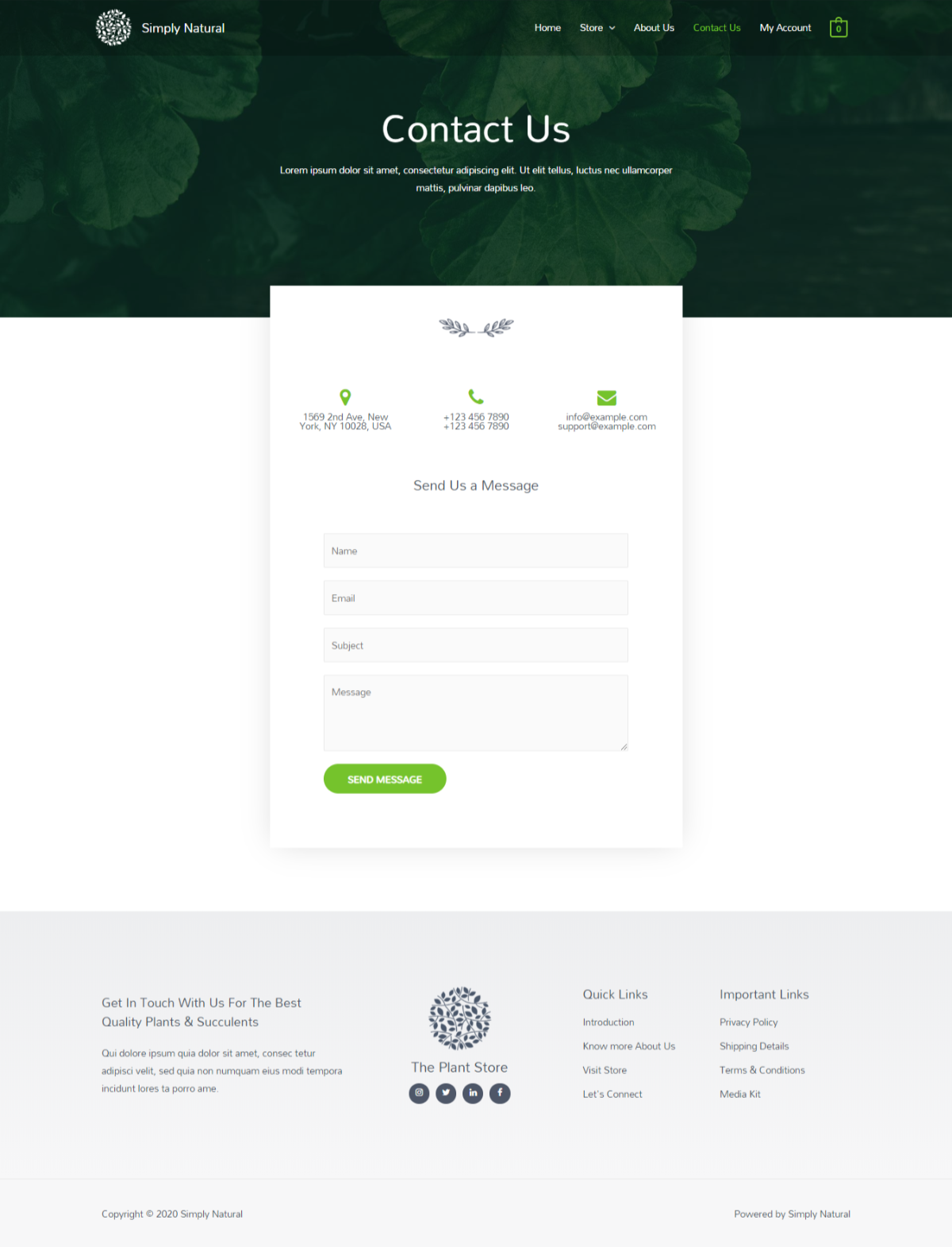 demo3-contact us