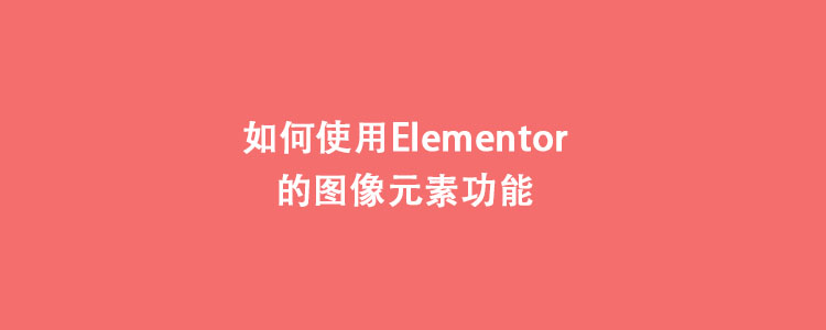 如何使用Elementor的图像元素功能