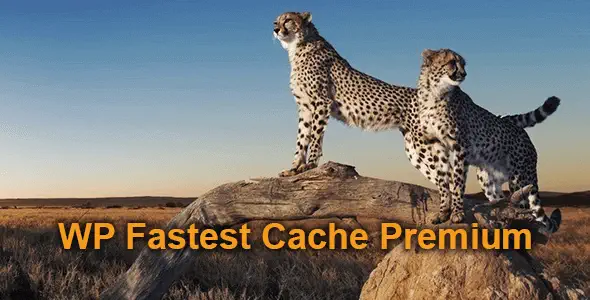 WP Fastest Cache